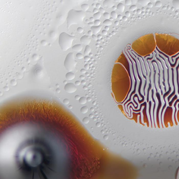 Concept Zero recently partnered with artist Linden Gledhill to launch a line of Gledhill’s art. He created the images by using a magnetic field to manipulate ferrofluids diluted with solvents and photographing the results. Ferrofluid art by Linden Gledhill