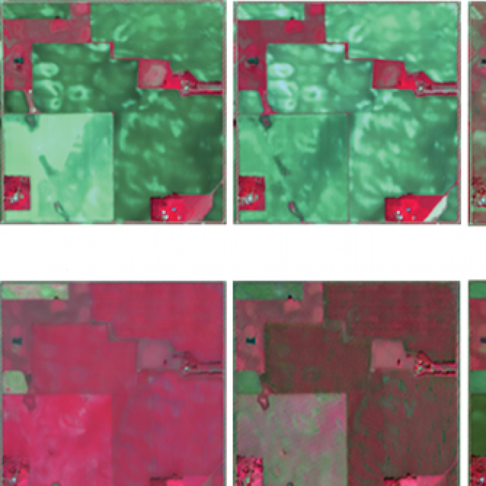 12 stages of crop growth as seen in infrared satellite imagery