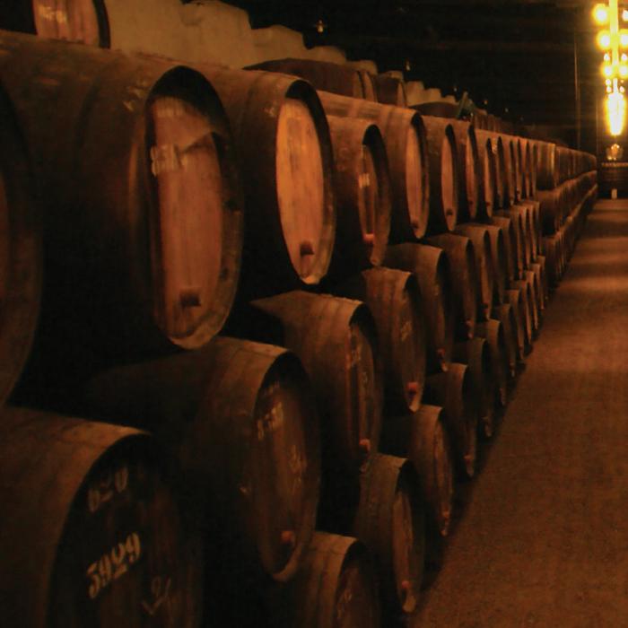 Barrels in a winery
