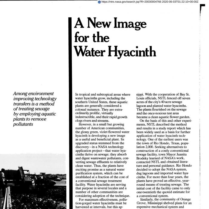 A New Image for the Water Hyacinth