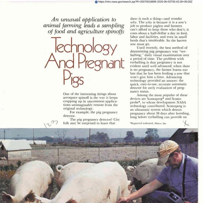 Technology and Pregnant Pigs