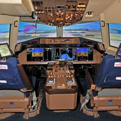 Flight simulator