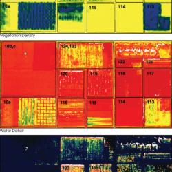 A wealth of information can be gathered about vegetation using hyperspectral imaging, such as vegetation density, top; water deficit, middle; and crop stress, bottom. Using algorithms and techniques it developed with funding from Goddard Space Flight Center, GeoVisual Analytics uses images of farmers’ fields to let them learn more about their crops, including predicted yields. Hyperspectral imagery of vegetation