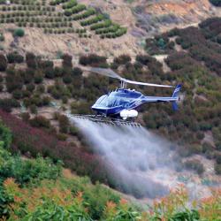 A helicopter sprays BAM-FX over a hillside field