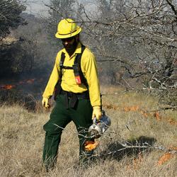 Fire management worker starting a controlled burn
