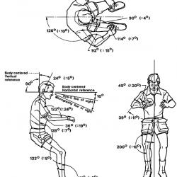 Neutral body posture diagram