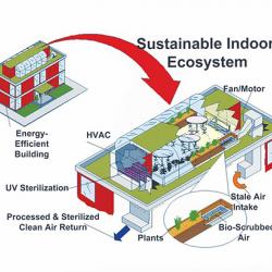 Diagram of sustainable indoor ecosystem