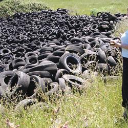 Researcher Becky Quinlan stands in front of a pile of tires