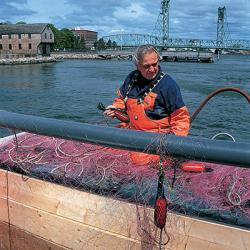 John Williamson attaches the NetMark 1000 to a net in preparation for an in situ test