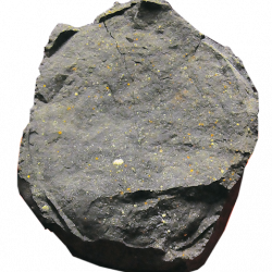 Rock from an asteroid
