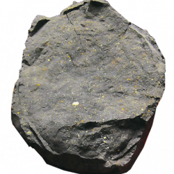 Researchers know a lot about asteroids from studying the ones that have fallen to Earth. The Murchison asteroid, a piece of which is shown here, struck near Lake Murchison in Australia in 1969. This is a CM-type carbonaceous chondrite, predominantly made up of clays and rich in organic compounds. CM-type asteroids present a potential source of water, shielding materials, and other resources and are one of four types Deep Space Industries (DSI) simulates. Rock from an asteroid