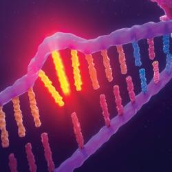 Illustration of changes in DNA