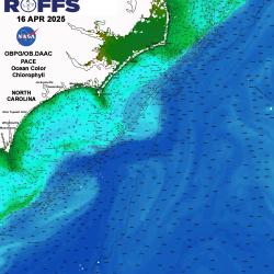 A NASA map of the coast off North Carolina, with a gradient of green to blue going out to sea