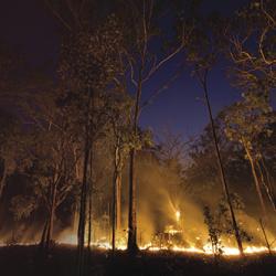 Wildfire burning