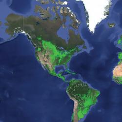 Compilation satellite image of North and South America with crops showing as bright green