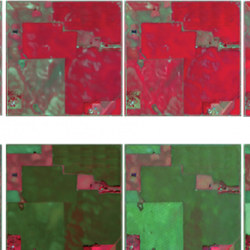 12 stages of crop growth as seen in infrared satellite imagery