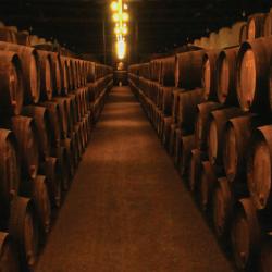 Barrels in a winery